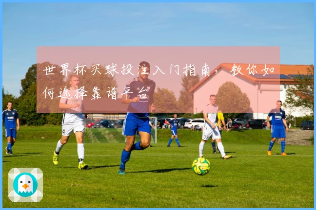 世界杯买球投注入门指南，教你如何选择靠谱平台