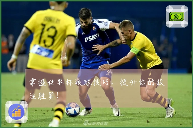 掌握世界杯滚球技巧，提升你的投注胜算！