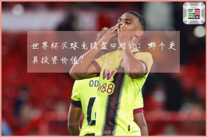 世界杯买球竞猜盘口对比：哪个更具投资价值？