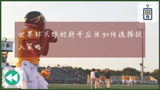 世界杯买球的新手应该如何选择投入策略