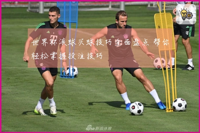 世界杯滚球买球技巧全面盘点 帮你轻松掌握投注技巧