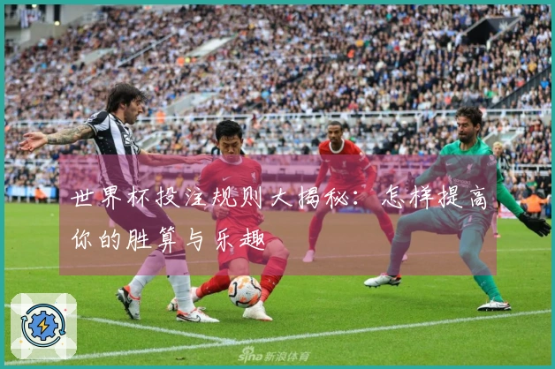世界杯投注规则大揭秘：怎样提高你的胜算与乐趣