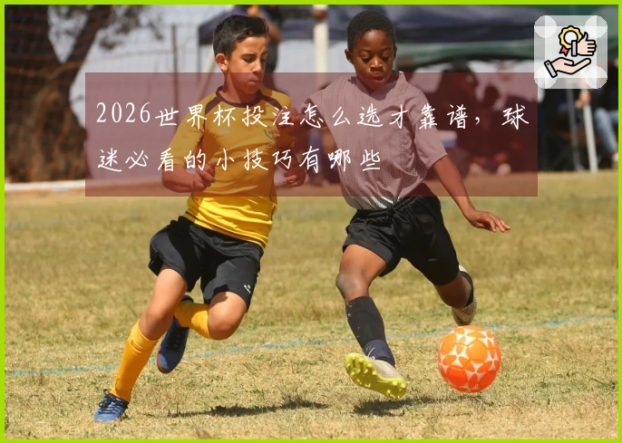 2026世界杯投注怎么选才靠谱，球迷必看的小技巧有哪些