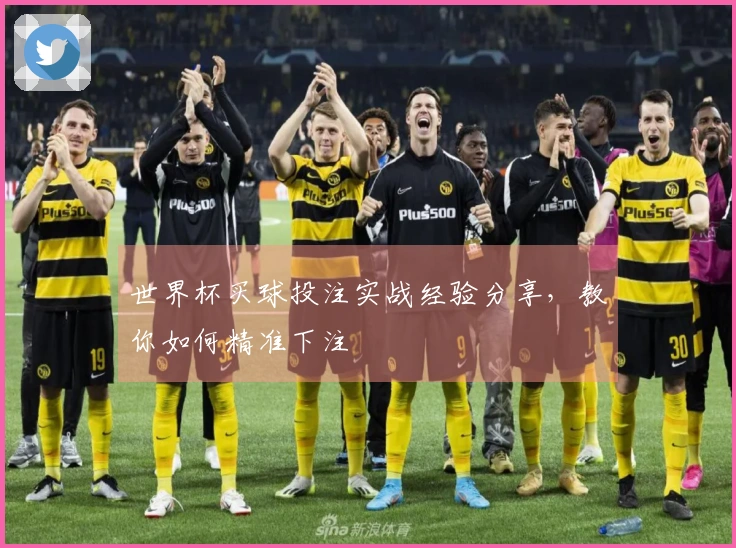 世界杯买球投注实战经验分享，教你如何精准下注