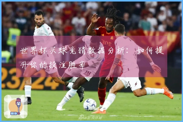 世界杯买球竞猜数据分析：如何提升你的投注胜率