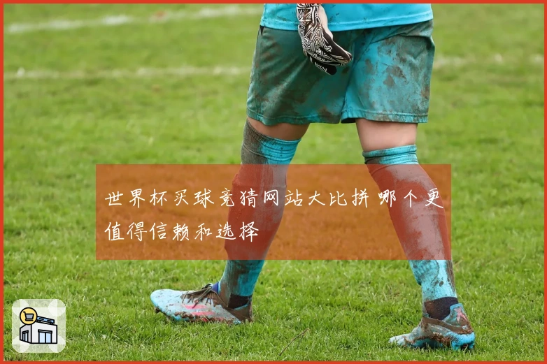 世界杯买球竞猜网站大比拼 哪个更值得信赖和选择