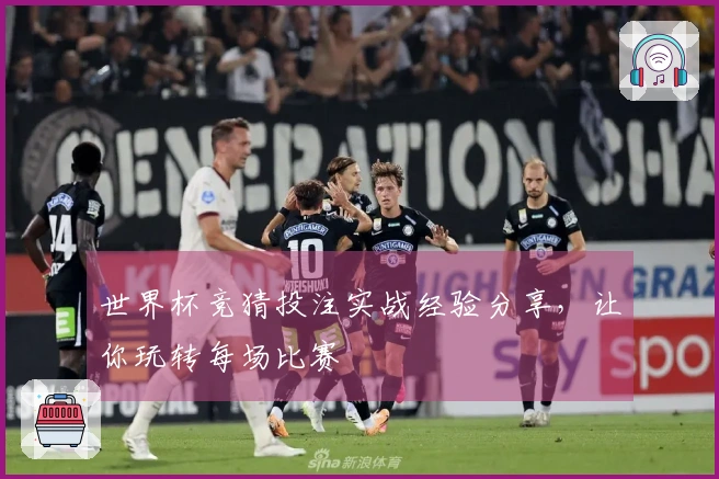 世界杯竞猜投注实战经验分享，让你玩转每场比赛
