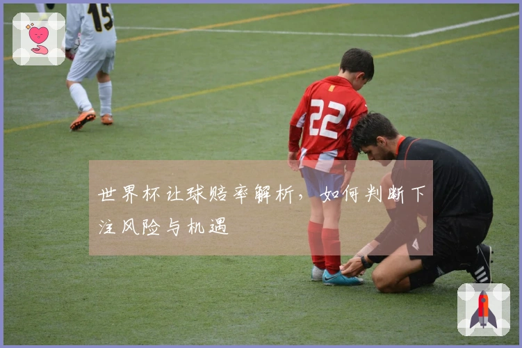 世界杯让球赔率解析，如何判断下注风险与机遇