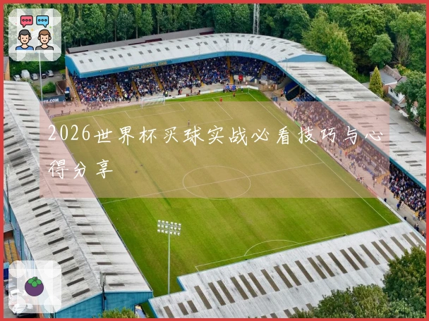 2026世界杯买球实战必看技巧与心得分享