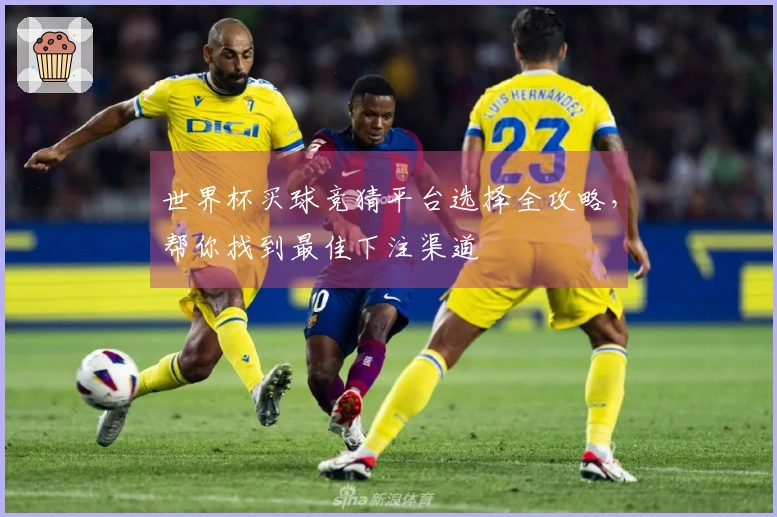 世界杯买球竞猜平台选择全攻略，帮你找到最佳下注渠道